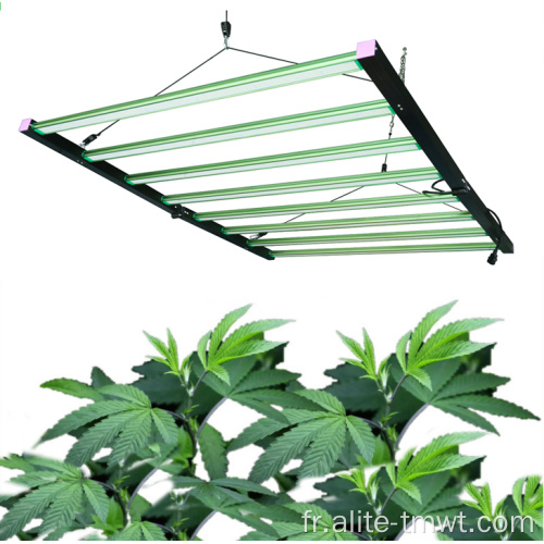 LED Grow Light pour intérieur